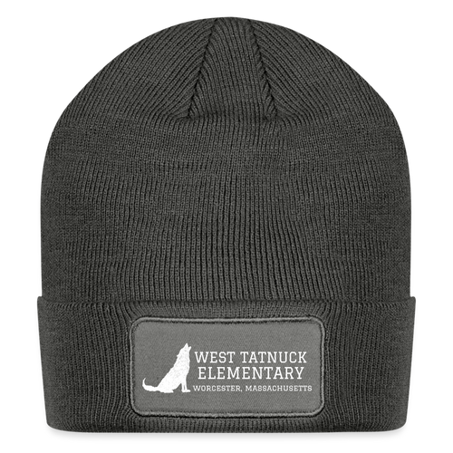 West Tatnuck Elementary Adult Beanie 079 - charcoal grey