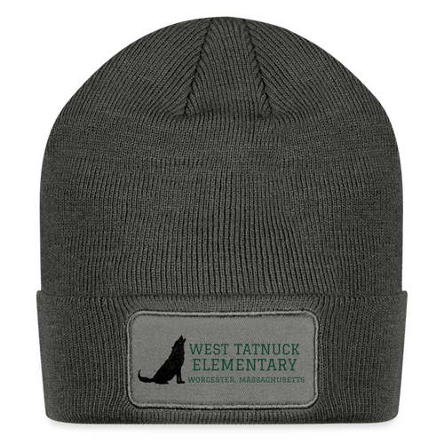 West Tatnuck Elementary Adult Beanie 078 - charcoal grey